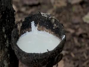 Caoutchouc latex blanc naturel à vendre, qualité supérieure, approvisionnement en gros pour la production de gants et la fabrication de ballons - Product Image 4