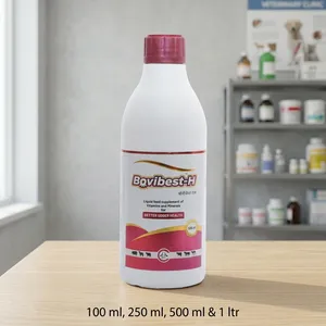 Complément alimentaire liquide de vitamines et de minéraux Bovibest H de qualité supérieure pour bovins laitiers, buffles, moutons et chèvres, disponible à la vente - Product Image 5