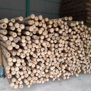 Cañas de Bambú Natural de Vietnam de Alta Calidad para Construcción y Decoración - Product Image 1