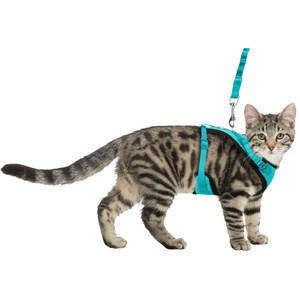 Harnais pour animaux de compagnie Y-Mesh 3960 cm/10 mm, élégant et confortable, adapté aux animaux de petite et moyenne taille - Product Image 5