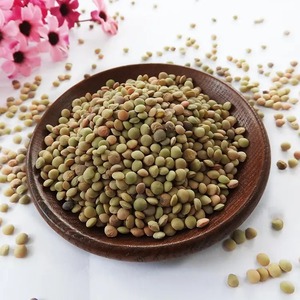 Lentilles vertes de haute qualité, produit agricole naturel pour les restaurants, les services de restauration et la vente au détail, fabrication ODM - Product Image 3
