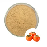 Poudre d'extrait de fruit de kaki de qualité supérieure, extrait naturel de Diospyros Kaki pour compléments alimentaires et aliments fonctionnels