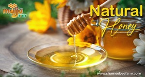 Miel Ayurvédica pura y natural de alta calidad a granel, embalaje personalizado con excelentes propiedades antibacterianas - Product Image 3