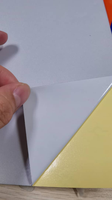 Lámina Reflectante de Microesferas de Vidrio PMMA 3200 para Señales Publicitarias, Precio de Fábrica 3H, Venta al Por Mayor