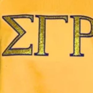 เสื้อสเวตเชิ้ตปักลาย Sigma Gamma Rho ประดับกลิตเตอร์ แบบคัสตอม ตัวอักษรกรีก ผ้าฟลีซ คอกลม พรีเมียม สไตล์เสื้อผ้าชมรม - Product Image 4