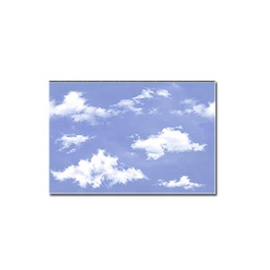 Magnifiques carreaux muraux en céramique numériques exclusifs pour salle de bain, finition brillante, 250x375 mm, décoratifs, modernes, pour la décoration de la maison - Product Image 2