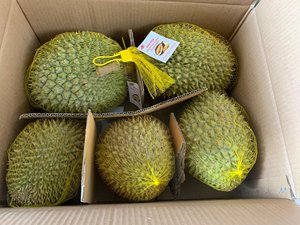 Carne de Durian Congelada - Calidad Premium de Vietnam - Product Image 3