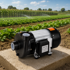 SnowFlake 2DK-18 Centrifugal Pump 2HP Single-Phase Electric Water Pump 1 In Outlet For Fountain Pond Use Stainless Steel - Product Image 6