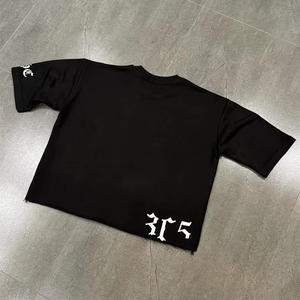 Camiseta de Moda Urbana 2025 con Logotipo Personalizado, 300GSM, Corte Recto, Algodón, para Hombre - Product Image 1