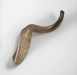 Cuerno de Shofar Grande Auténtico, Estilo Yemení, Kosher, Cuerno de Carnero Negro, Forma Natural, Artículo Decorativo - Product Image 3