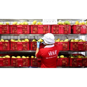 Mélange de jus de fruits tropicaux 100% 1L (goyave, mangue, orange) - Product Image 5