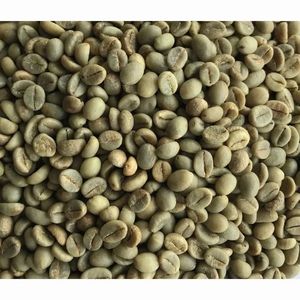 AgroStream Grains de café Robusta / Conilon 100% Verts du Brésil – Approvisionnement en vrac - Product Image 2