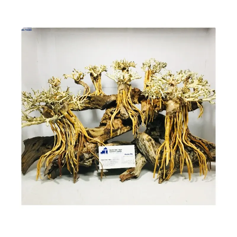 Aquarium Driftwood Bonsai Driftwood Pour aquariums et accessoires WhatsApp + 84 961005832