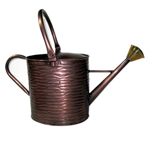 Nouvelle Arrivée Arrosoir en Métal Antique Finition Rustique Haute Qualité Décoration de Jardin Extérieur Arrosoir en Métal Taille Personnalisée - Product Image 3