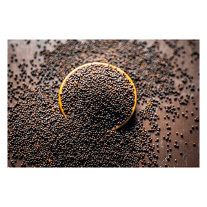 Semillas de Mostaza Enteras de Alta Calidad, Especias Naturales de Grado Alimenticio para Cocinar, Sazonar, Fabricación y Exportación Global - Product Image 4