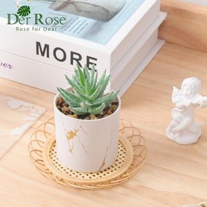 Set di 2 accessori da scrivania per donna, piante succulente artificiali, finta vegetazione per casa e ufficio - Product Image 5