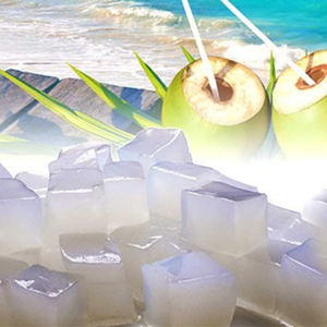 Cubes de Nata de Coco du Vietnam, taille 8x8 mm, pour améliorer la texture du yaourt et ajouter une saveur naturelle de noix de coco, 99 Gold Data - Product Image 3