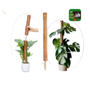 Nouveaux bâtons de cocotier et poteaux en fibre de coco 2026 pour support de plantes d'intérieur et d'extérieur, idéaux pour les plantes grimpantes de jardin, en provenance du Vietnam - Product Image 1