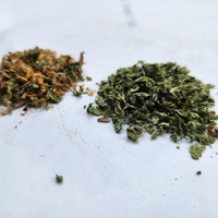 Hierbas Verdes Damiana RASTA Gold Blends Temptation, Hierbas para Liar de Hojas Ricas, 100% Naturales, Hojas Trituradas, Suministro a Granel de Fábrica