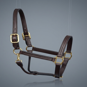 Harnais en cuir pour l'équitation de qualité supérieure 2026, personnalisé, équipement d'équitation, harnais OEM - Product Image 4
