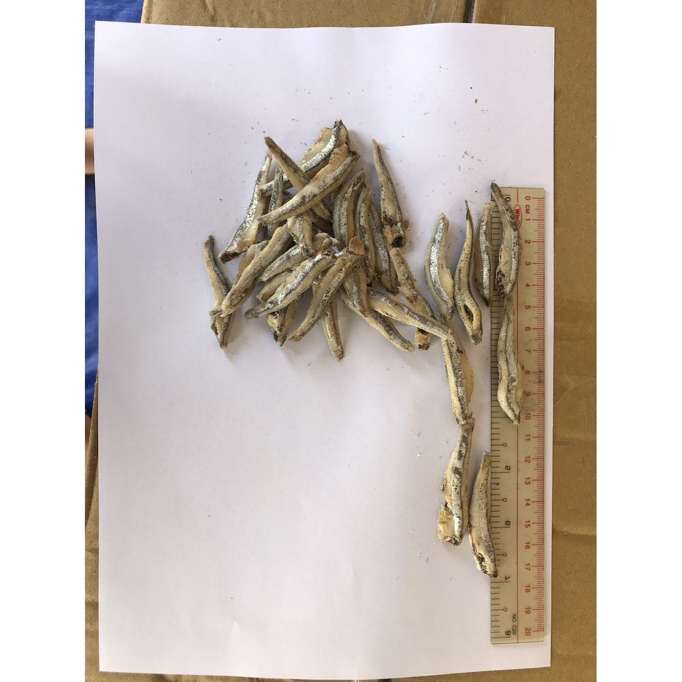 Whole Dried Anchovies Versatile Seafood Snack and Cooking Ingredient
