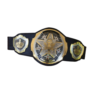 Cinturón de Campeonato del Salón de la Fama, Diseño Personalizable en Negro y Dorado, Título de Lucha Libre Premium, Artículo de Colección - Product Image 5
