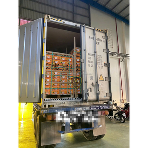 Mango Congelado en Cubos/Cortado en Dados/En Rodajas/Entero/En Mitades, Proceso IQF, Estilo Bloque de Fruta Entera, Origen Vietnam, Fruta Congelada - Product Image 2