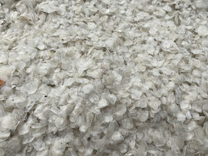 เกล็ดปลาทิลาเปียแห้งคุณภาพเยี่ยม ปี 2026 ขายส่ง ราคาแข่งขัน คุณภาพเกรดพรีเมียม บริสุทธิ์ 100% ตามมาตรฐานตลาด - Product Image 2