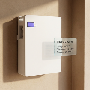 Batería de Almacenamiento de Energía Doméstica de 5 kWh, 51.2 V, 100 Ah, LiFePO4, para Almacenamiento de Energía Solar, Batería para Inversor - Product Image 5