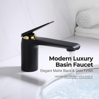 Robinet de lavabo commercial moderne noir mat avec garniture dorée en céramique pour hôtel, maison et lavabo