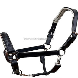 Harnais de cheval en cuir noir sur mesure, têtière structurée, réglable et durable pour l'entraînement, le pâturage et la manipulation quotidienne - Product Image 4