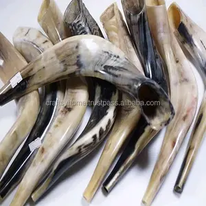 Bocina shofar de ram natural para soplar, claxon Shofar / Kudu/Ram/pulido Shofar de Craftsy Home, oferta especial