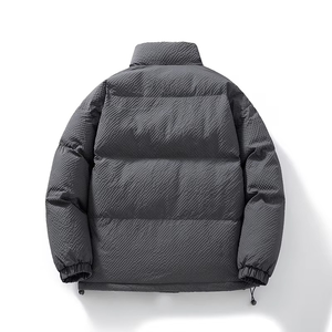 Veste d'hiver décontractée pour homme, 100% duvet, écologique, séchage rapide, respirante, épaisse, fermeture éclair, haute qualité, personnalisable, vente en gros - Product Image 2