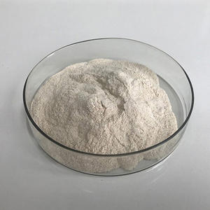 Fabricante de enzima proteasa alcalina de grado alimenticio, polvo de alta concentración para hidrólisis de proteínas, suministro industrial - Product Image 6