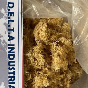 Musgo Marino Dorado Seco y Sazonado Orgánico/Musgo Irlandés AD Ms. Lily - Product Image 4