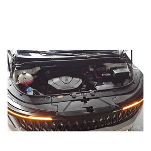 Kia Carnival 2024, Limousine haut de gamme 9 places, véhicule spécialisé, 24 546 km, Diesel, Boîte automatique, Sièges en cuir, Rangement arrière - Product Image 6