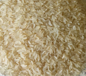 Arroz Parboiled IR 64 de Calidad de Exportación, Grano Largo, 5% de Grano Partido, No Basmati - Product Image 6