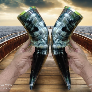 High Standard Quality Buffalo Drinking Horn Food Safe Natural Finish Brass Rims Viking Drinking Horn Wholesale Natural Horn - Product Image 1