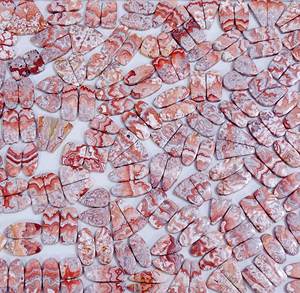 100% Natural Rosetta Jasper cabujón par piedras preciosas cuarzo suelto para la fabricación de joyas tamaño de forma mixta Rosetta Jasper piedra preciosa - Product Image 6