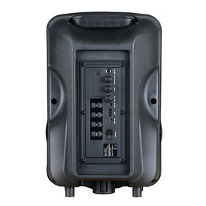 Altavoz Portátil Negro de 8 Pulgadas Modelo D0100H5CUH8 - Product Image 4