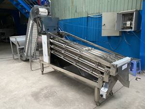 Meilleure vente 9M grande capacité 300-500KG/heure Machine de tri de taille de noix de cajou de haute qualité nouvelle condition faite au Vietnam fruits crus - Product Image 3