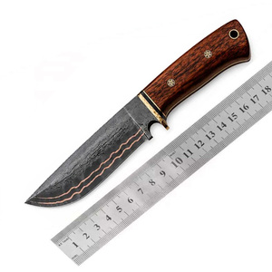 Professional Portable Straight Hunting Knife Outdoor Survival <b>Copper</b> Damascus Steel Fixed Blade Brass Guard with Wooden Handle - Product Image 6