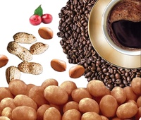 Cacahuètes enrobées aromatisées au café séché, croquantes, sucrées et amères, pour les packs cadeaux de détail, les magasins spécialisés et la distribution alimentaire