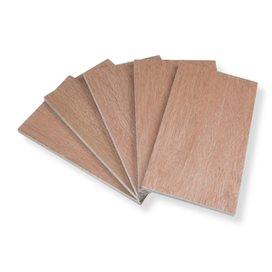 Contrachapado Comercial de Bintangor de Vietnam, 1220x2440mm, Núcleo de Eucalipto, Pegamento WBP/E1 - Product Image 1