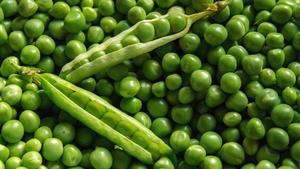 Prix d'usine, haute qualité, petits pois verts surgelés IQF, pois de jardin entiers pelés, légumes surgelés en vrac pour la restauration, prix abordable - Product Image 6
