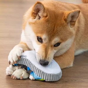 <strong>Dog</strong> Squeak <strong>Toy</strong> Teeth Grinding Bite Resistant Slippers Shape Puppy <strong>Chew</strong> <strong>Toy</strong> With <strong>Cotton</strong> <strong>Rope</strong> Pet Chewing <strong>Toys</strong> - Product Image 5