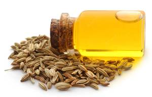 Huile Essentielle de Graines de Fenouil Pure et Naturelle pour Massage, Diffuseur, Cosmétiques, Soins de la Peau, Fabrication de Savons et de Bougies – Vente en Gros et Approvisionnement en Vrac - Product Image 5