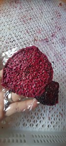 Fruit du Dragon Lyophilisé FD Douceur Naturelle – Idéal pour la Gestion du Poids – Meilleur Prix du Vietnam pour l'Exportation - Product Image 6