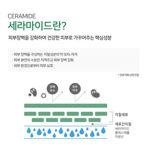 Crème coréenne avec céramide et niacinamide 50ml Amplen Ceramide Shot Face Lotion K-Beauty K-Beauty - Product Image 4