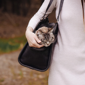 กระเป๋าใส่สุนัขดีไซน์เนอร์กระเป๋าหนังคลาสสิกกระเป๋าถือสำหรับสัตว์เลี้ยงสำหรับเดินทางกระเป๋าสุนัขขายส่ง - Product Image 2